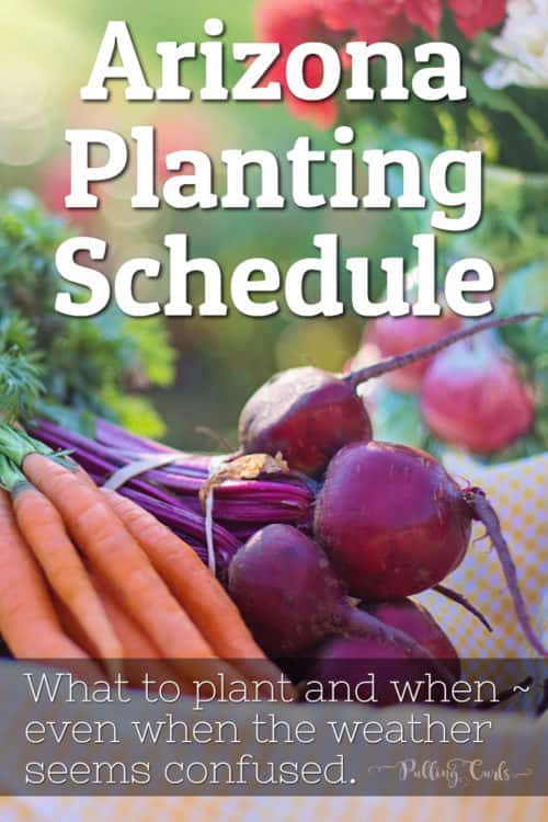 Arizona Planting Guide