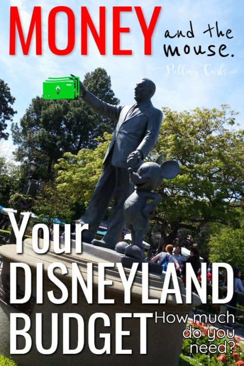 how-much-money-should-i-budget-for-disneyland