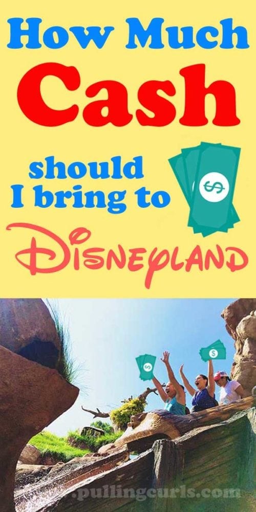 How Much Money for Disneyland? Your Disneyland budget