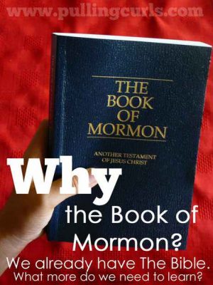 Why The Book Of Mormon?