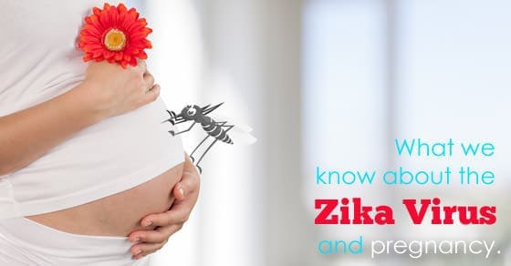 What We Know About The Zika Virus In Pregnancy