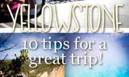 Yellowstone with your family can be a great time! Here are 10 tips, tricks, and hacks to make your vacation with the gysers, moose, bison and traffic jams the best ever!