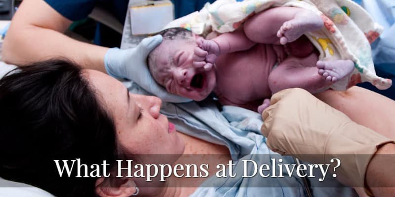 Labor And Delivery What Happens At Delivery