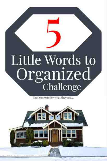 Home organization free challenge