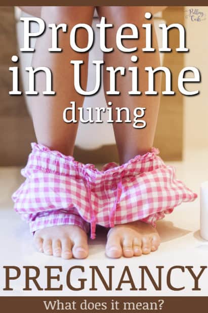 Protein In Urine While Pregnant