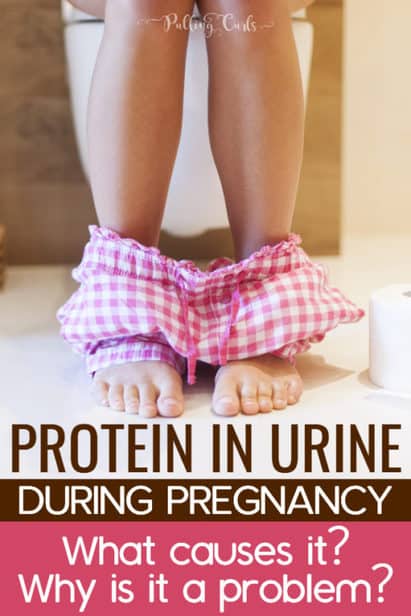 Protein In Urine While Pregnant 6028