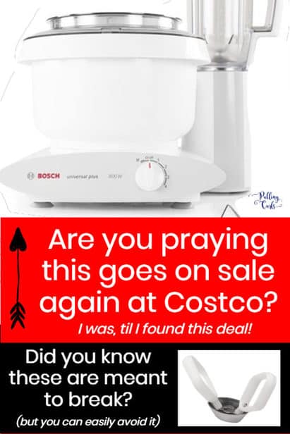 Bosch Mixer  You Paid How Much?! 