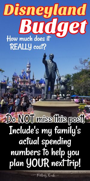 how-much-does-it-cost-to-go-to-disneyland-your-disneyland-budget-how