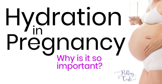 Dehydration During Pregnancy The Importance Of Hydration While Growing A Human 