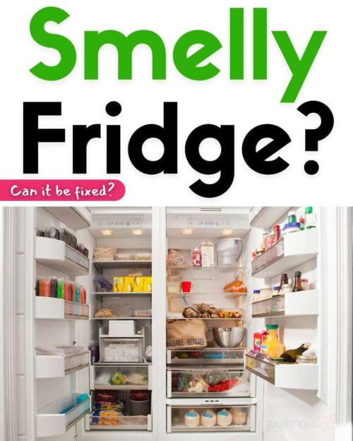 fridg with food // smelly fridge?  Can it be fixed?