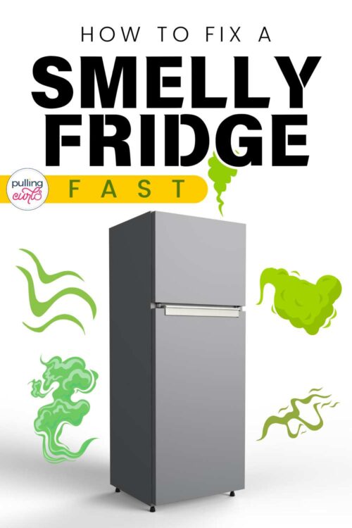 foul-smelling fridge // how to fix a smelly fridge fast?