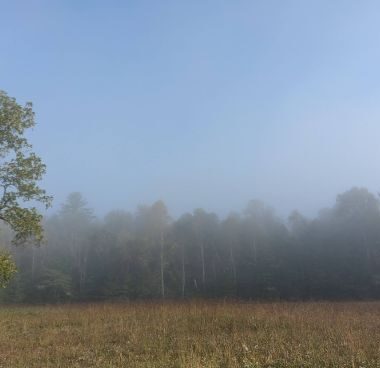 Image of the smokies in the morning