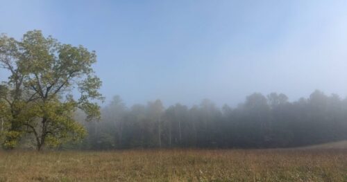 Image of the smokies in the morning